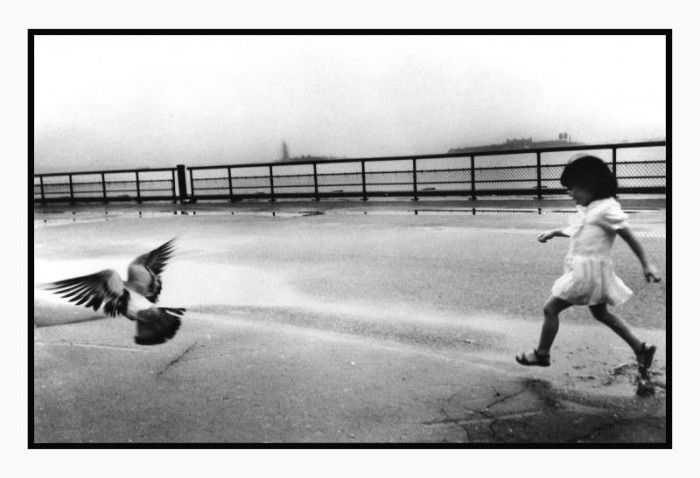 Trying Their Wings, 1984 © Flo Fox