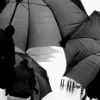 Camus Wyatt  - Umbrellas