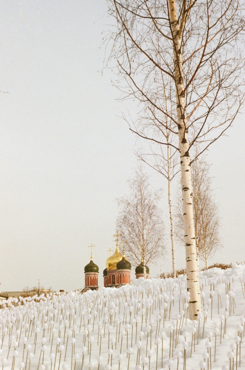 Оттенки белого/ Shades of white