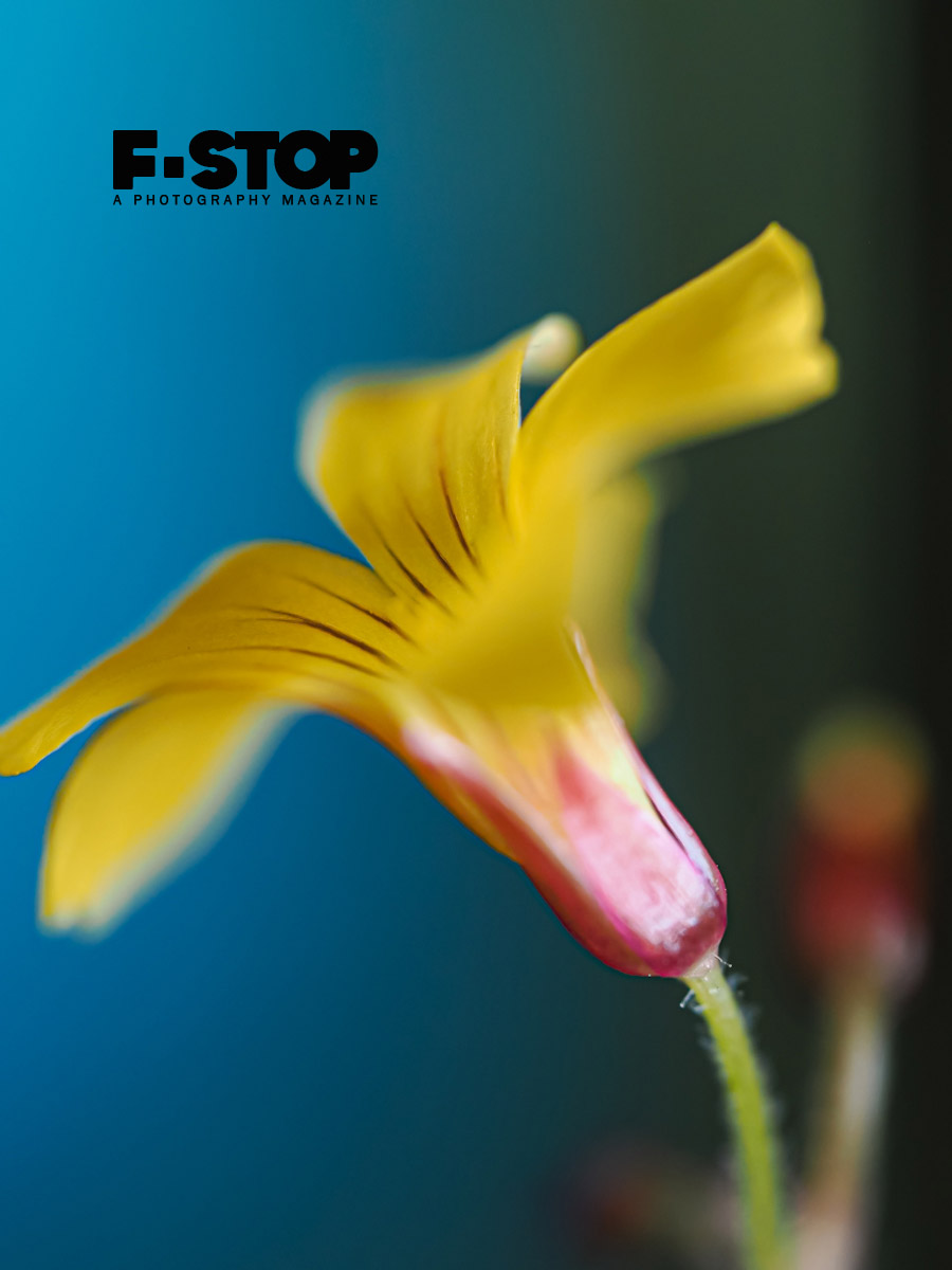 cover photograph for f-stop magazine