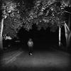 Evan Thomas Phillips - Portland, Oregon - Night Flash Trees No.1