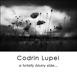 codrin lupei a totally blurry side