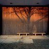 Nate Mathews - Bartlett, IL - Sunset, tree shadow, and benches